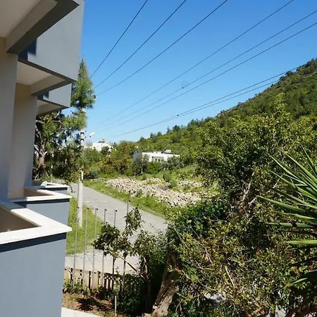Delfin Hotel 3*