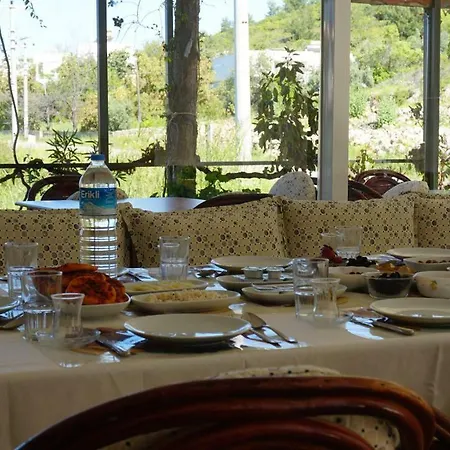 Hotel Delfin