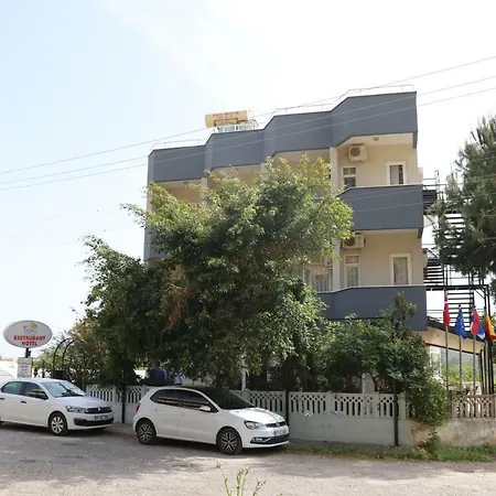 Delfin 3* Газипаша
